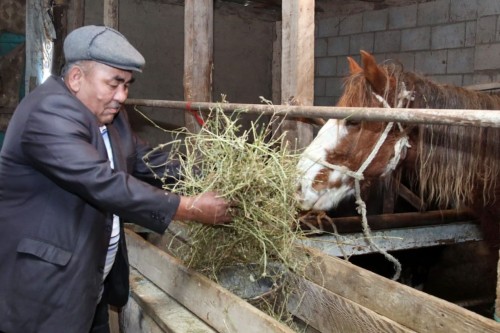 Жамбыл облысында ауыл тұрғындары несие алып, мал бағуда