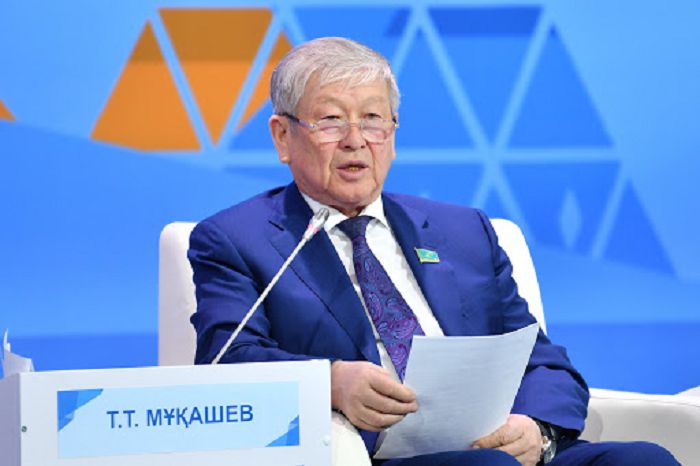 Сенат: Шағын және орта бизнесті қолдау тапсырылды