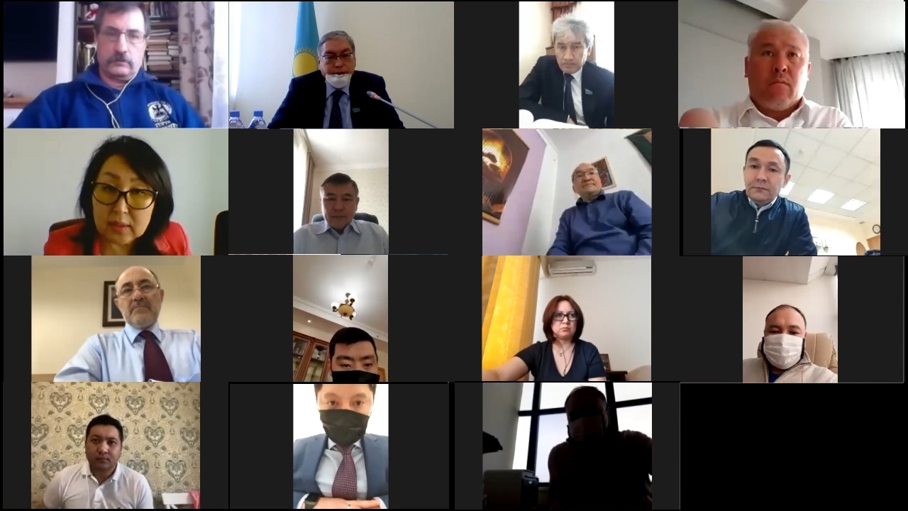 Митингілер туралы заң жобасы бейнеконференция форматында талқыланды