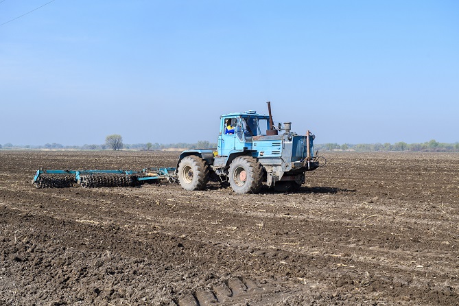 Жетісудағы егістік алқабы 966,5 мың гектарға ұлғайды