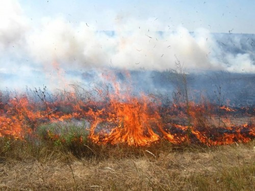 Көктем - өрттің өршитін шағы