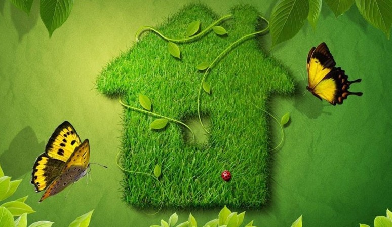 Экология министрлігі мектеп оқушылары арасында конкурсын жариялады