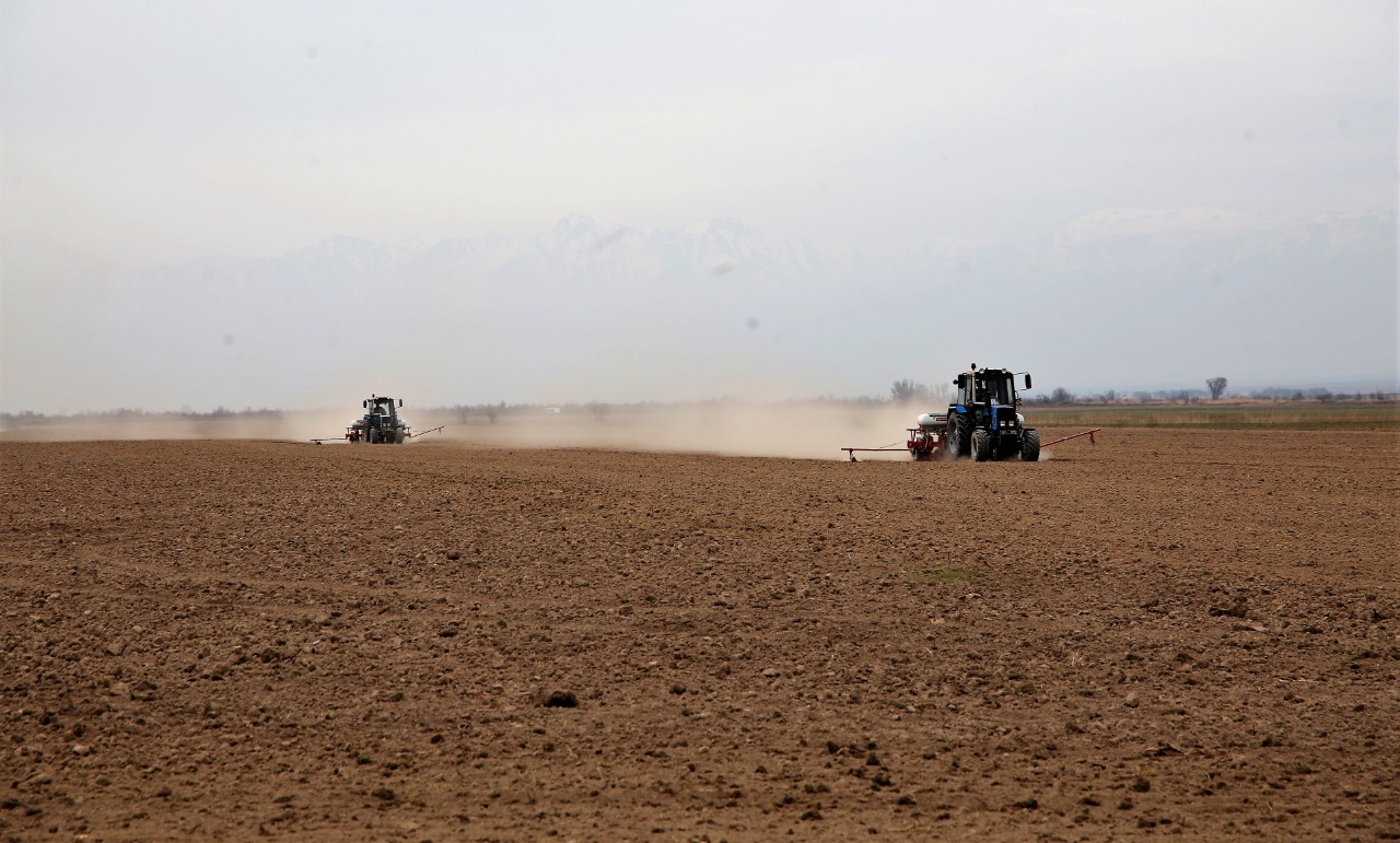 Жамбыл өңірінде көктемгі егіс дала жұмыстары жүргізілуде
