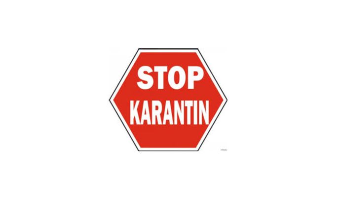 Қазалы ауданы карантинге жабылды