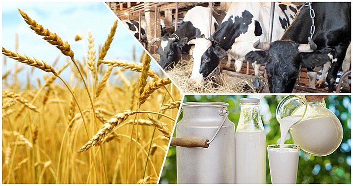 Ақмоладағы көктемгі қарбалас