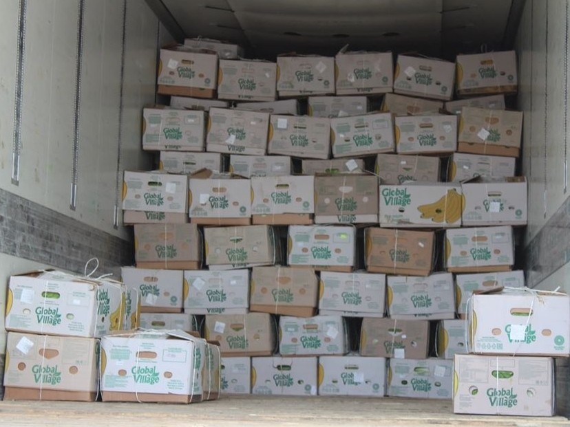 Түркістан: Сарыағаштық шаруалар Ресейге 60 тонна өнім экспорттады