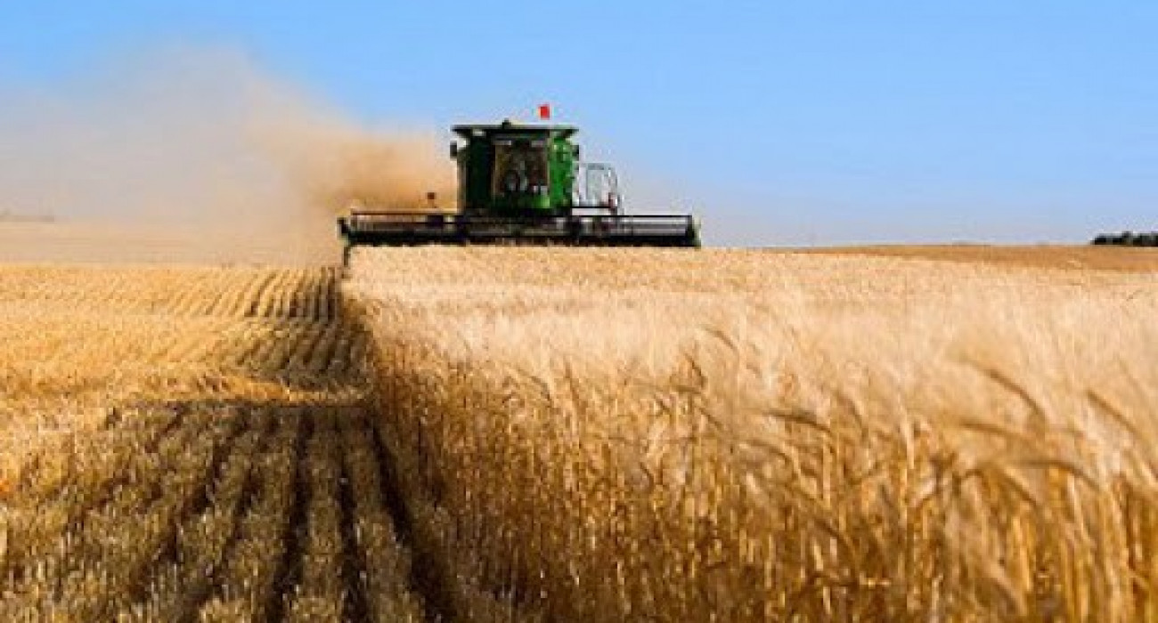 Skype арқылы онлайн виртуалды порно көру