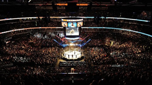 UFC сәуір-мамыр айына жоспарланған 4 турнирін өткізбейтін болды