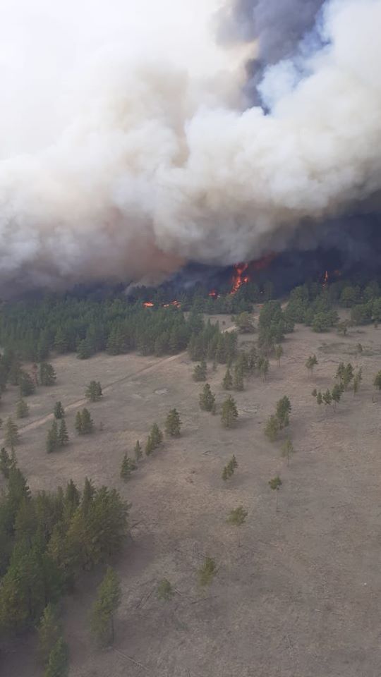 Шығыс Қазақстан: «Семей Орманы» резерватында өрт шықты