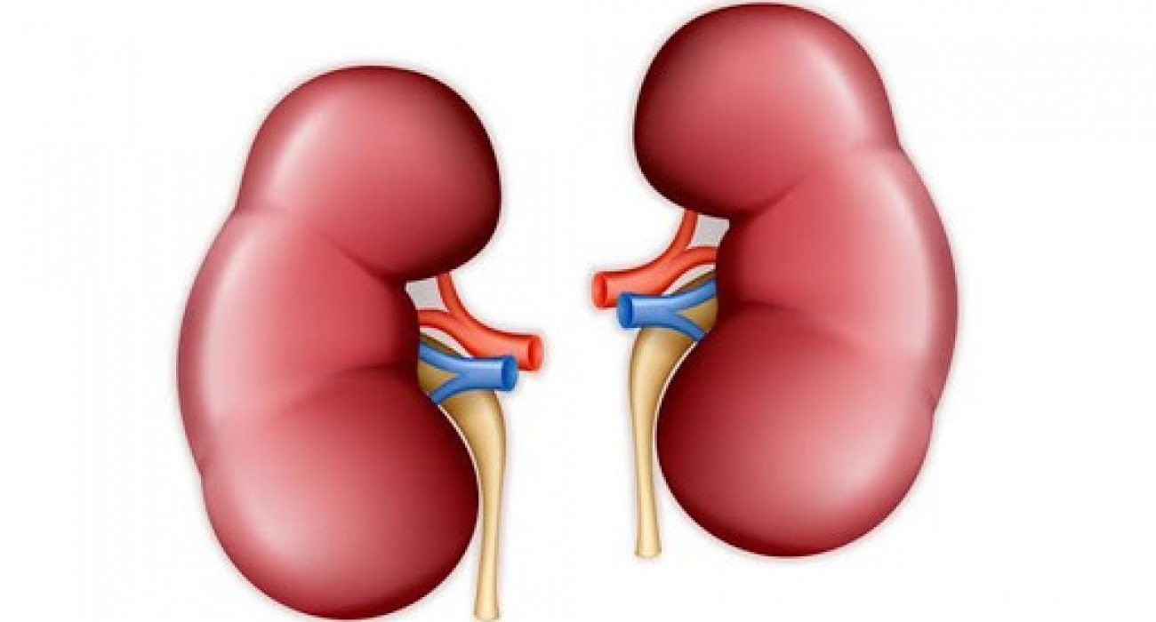 Неміс аяқ фетиш бейне