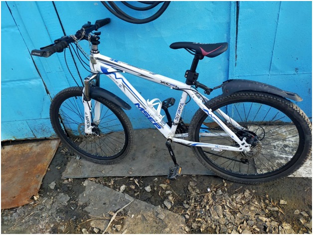 Қос дөңгелекті көк тұлпар...