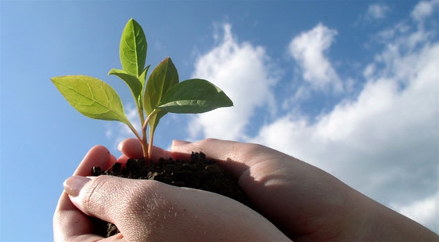 Қала тазалығы баршаға ортақ