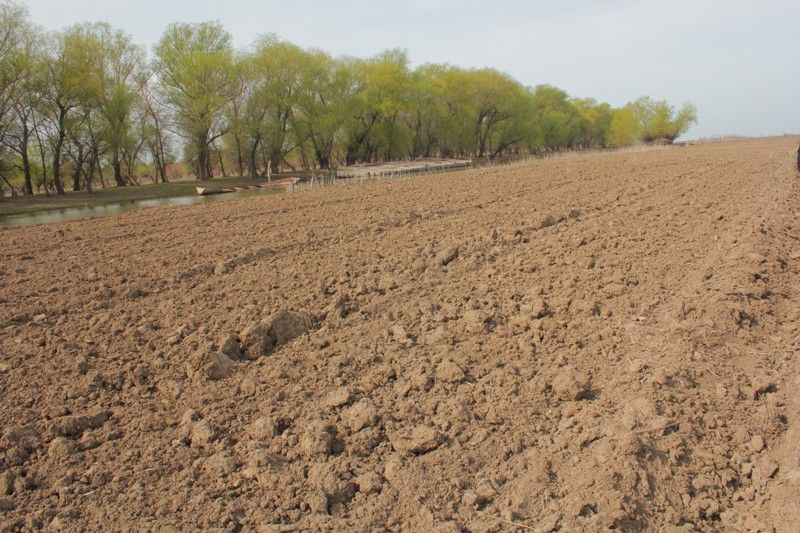 Егіс науқаны қарқын алды