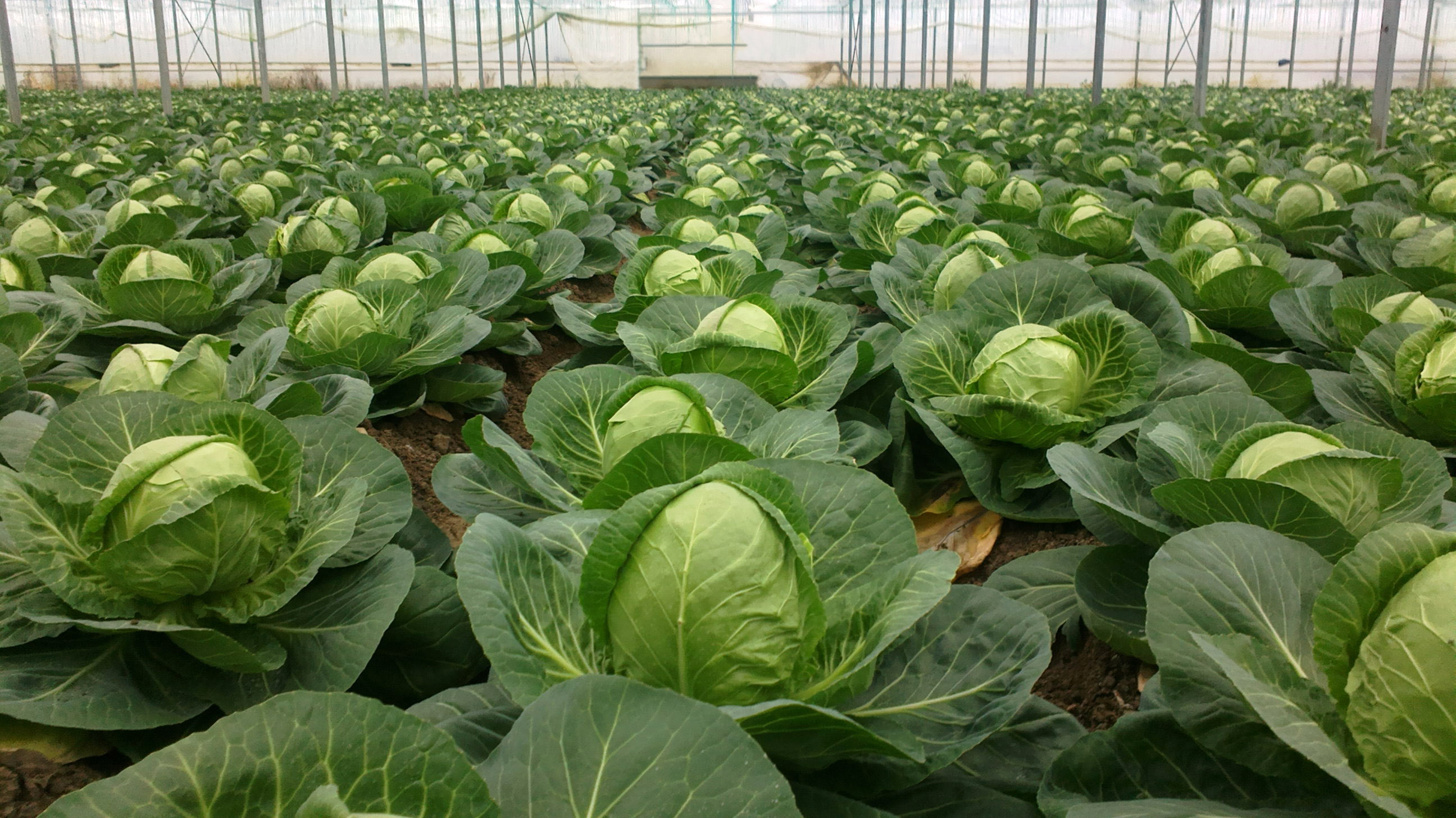 Логистикалық қоймалардың қажеттігі мемлекеттік деңгейде мойындалды