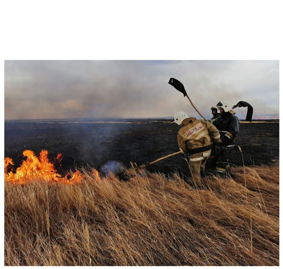 Қоршаған ортаның тепе-теңдік қалпын сақтау қажет