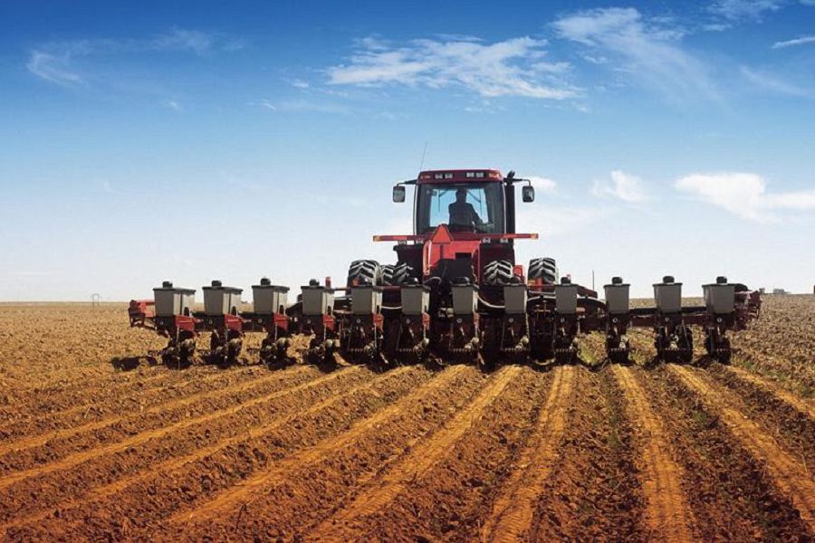 Диқандарға демеу астықты өлке үшін аса маңызды