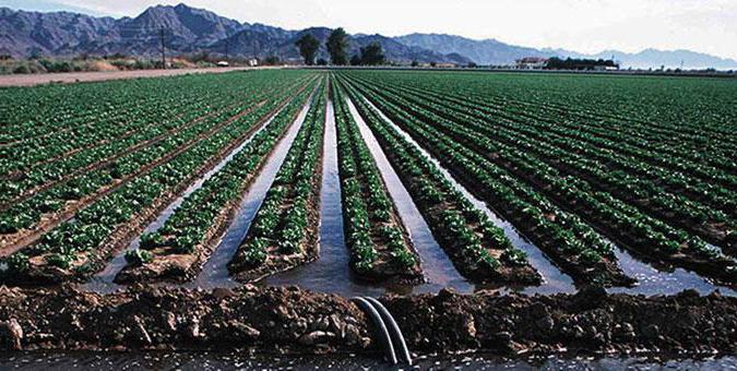 Алматы облысы: Суармалы алқаптардың көлемі артты