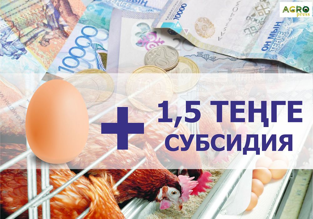 Азық-түлік жұмыртқаларын субсидиялау жалғасады - АШМ