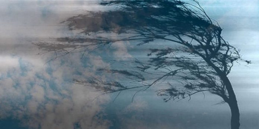 Қазақстанның бірнеше облыстарында дауылды ескерту жарияланды