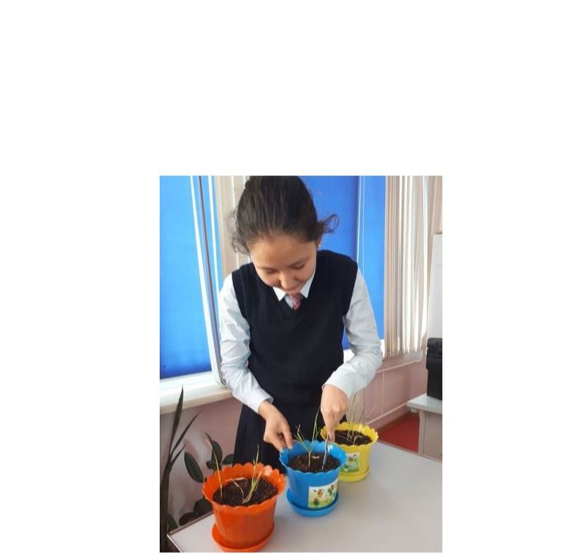 Аграрлық мәселелерді шешетін жоба