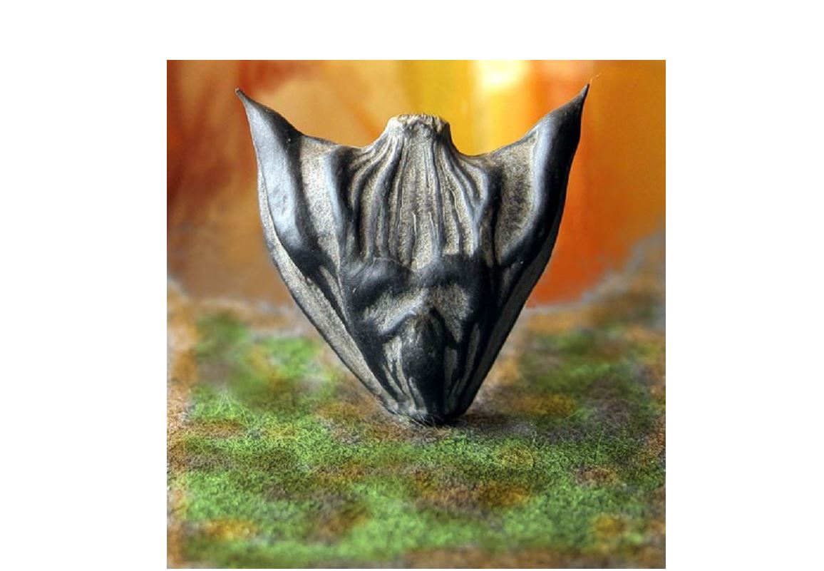 Қасиетті шүйлімнің құдіреті