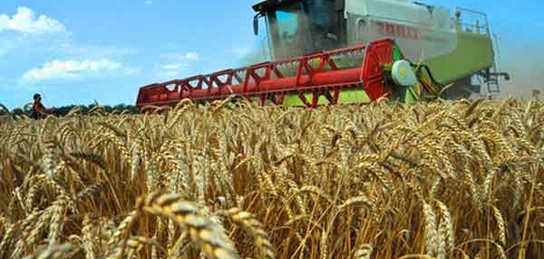 Шаруаларға шарапаты тиді