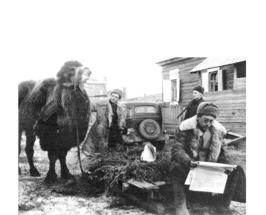 Әскерге «шақырылған» түйелер