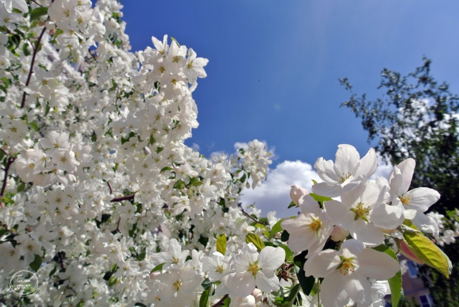 Мамыр айында ауа райы қандай болады