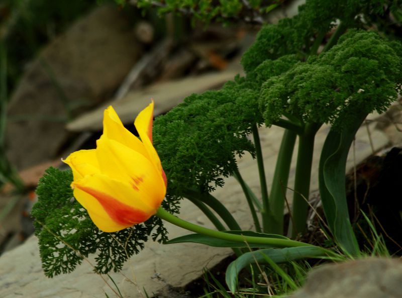 24 ашық порно