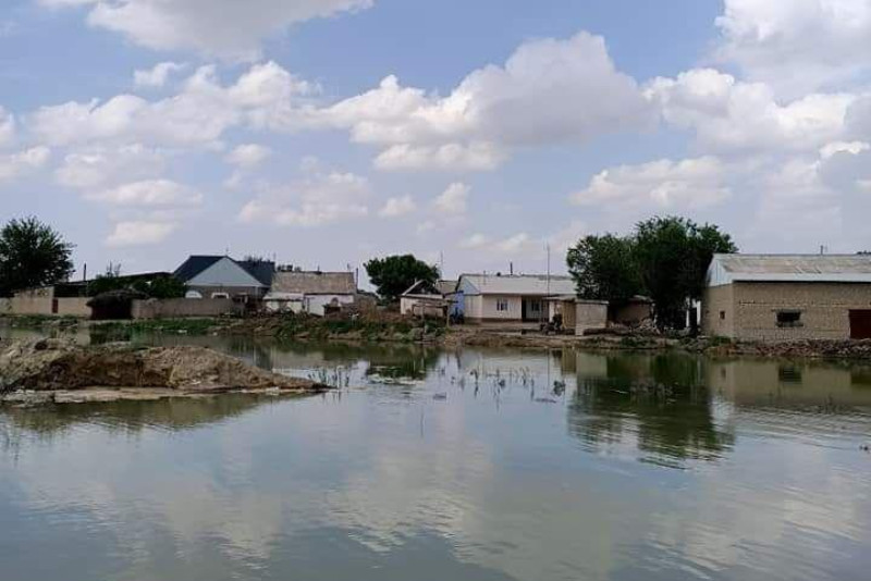 Мақтаарал ауданы: Өргебас елдімекенін су басты