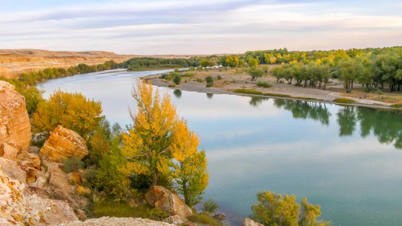 Алтайдың аңыз-әңгімелері: «Ертістің толқыны» күйі қалай шыққан?