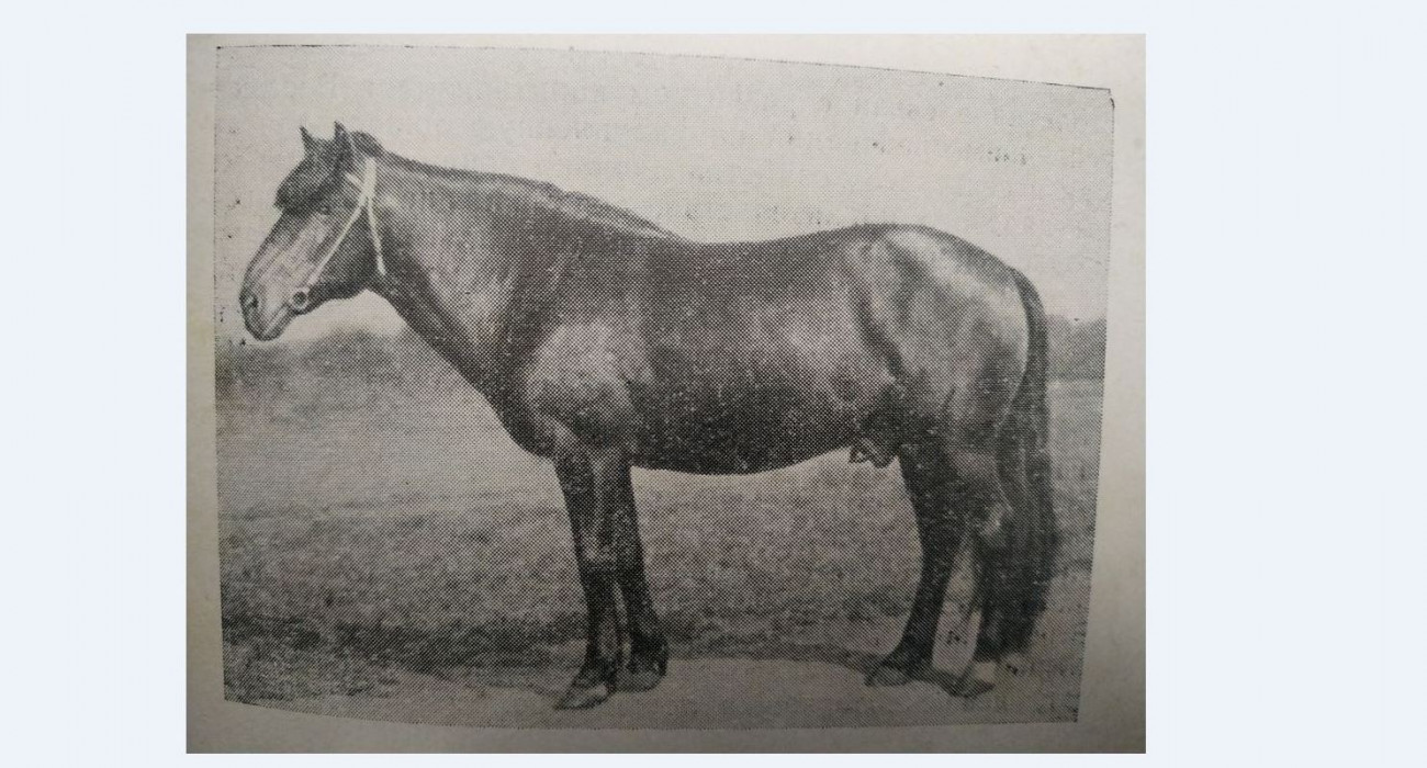 Секс менің әйелім порно жұлдыз