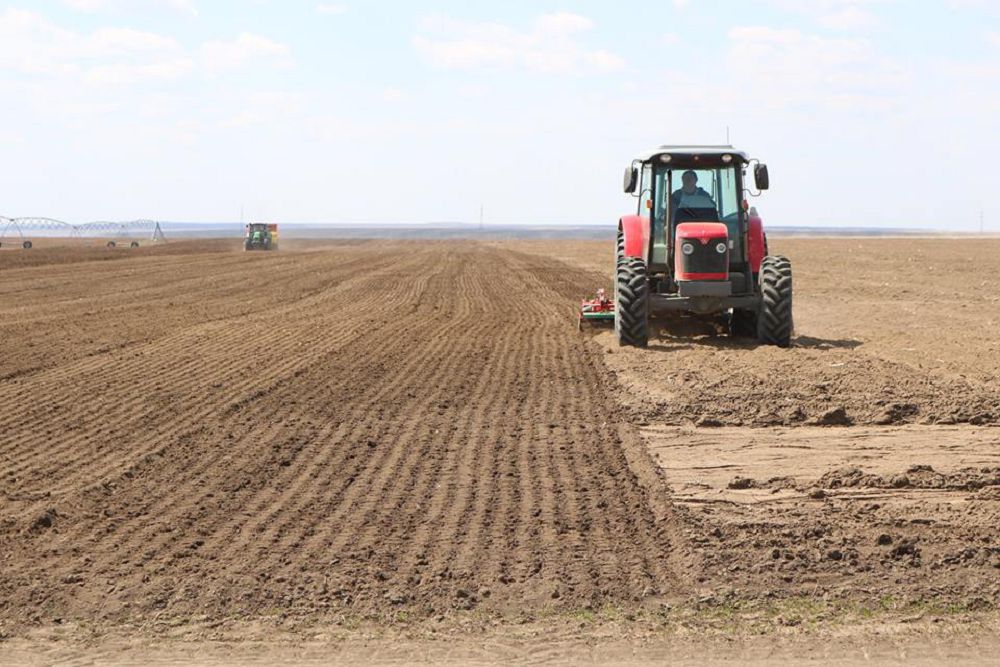 Қызылорда: Диқандарды қолдаудың қайтарымы көп