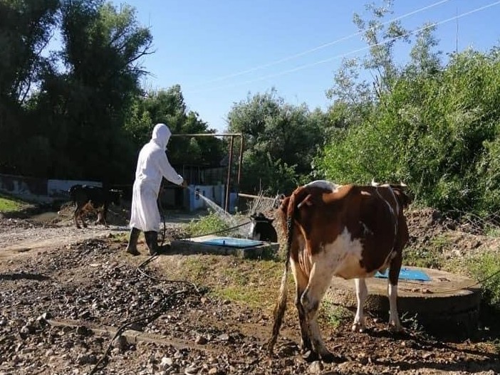 Кенеге қарсы залалсыздандыру жұмыстары қарқынды жүруде