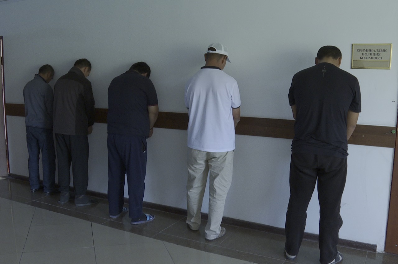 Түркістан: 150-ден аса жылқы мен сиыр ұрлаған қылмыстық топ ұсталды