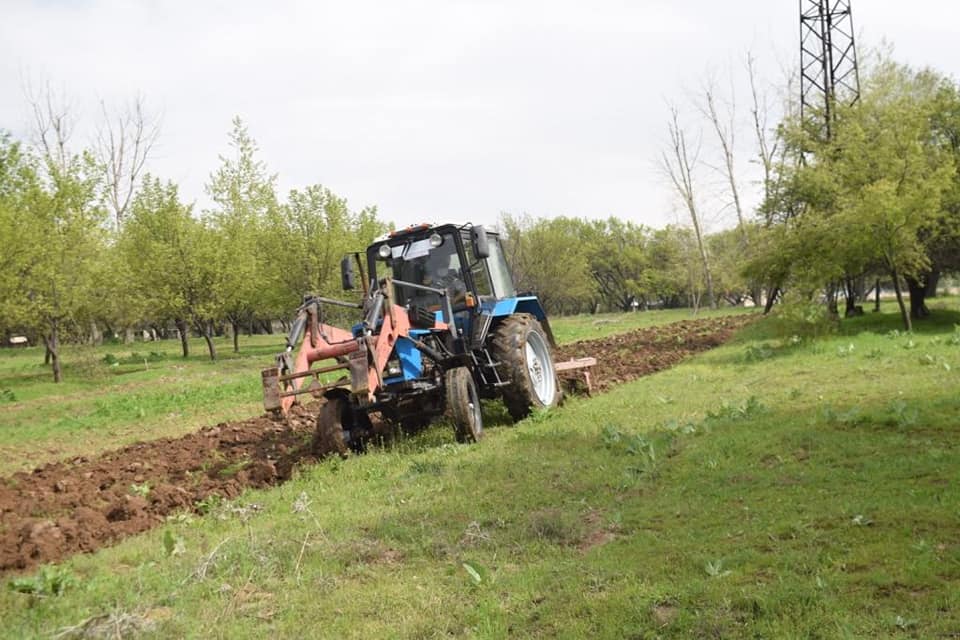 Шымкентте мың шақырым аумаққа өртке қарсы минералды жолақ салынды