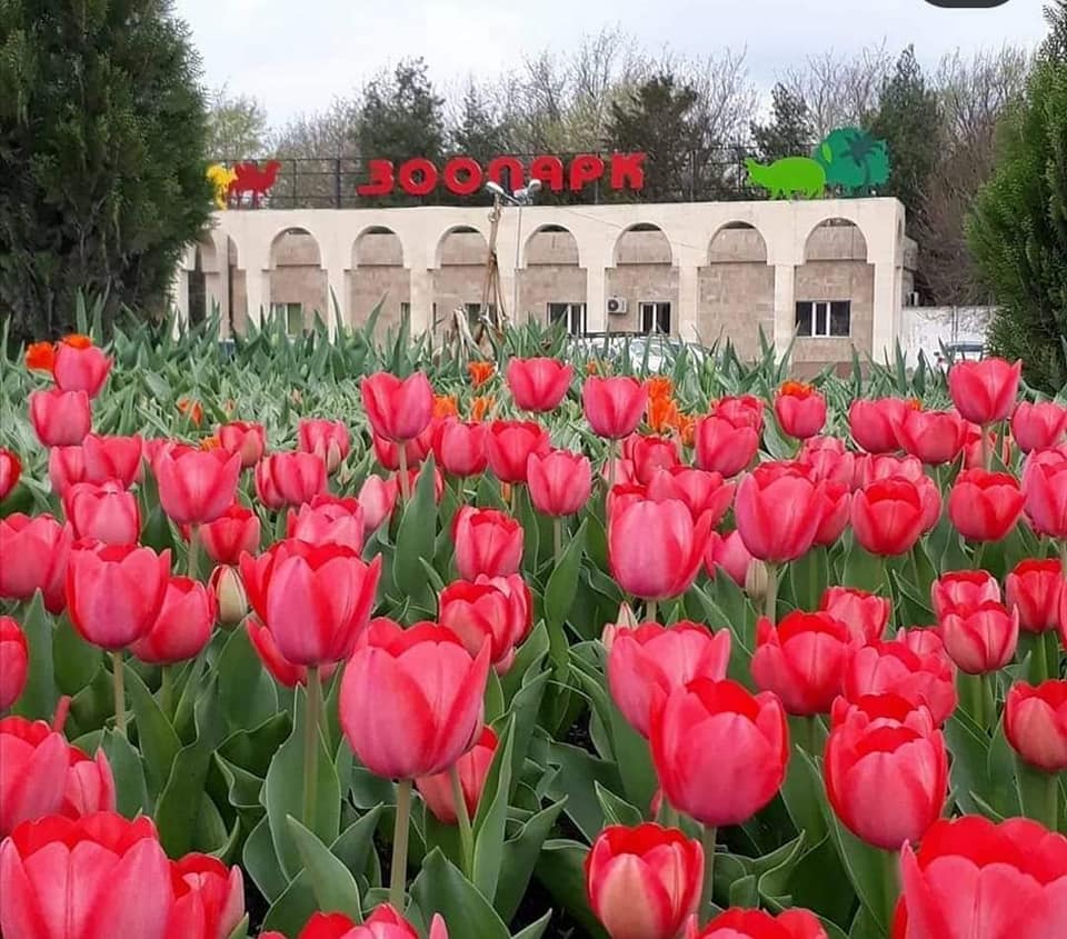 Шымкент зообағының 63 павильоны жаңартылуда