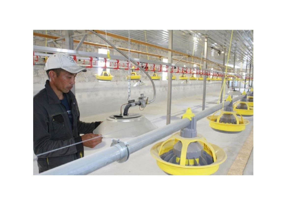 Ілкімді ізденіс қана өрге сүйрейді