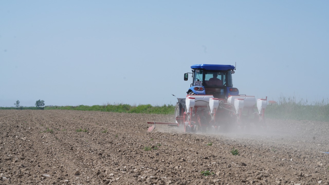 Мақтаарал: Мақта егуге өзбекстандық техникалар көмекке келді