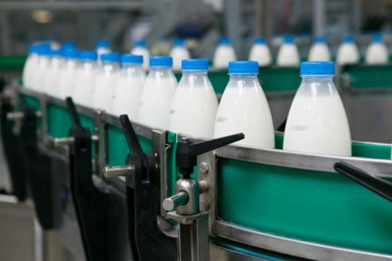 Шалғайдағы ауылда сүт зауыты ашылды