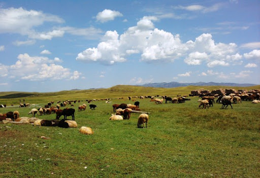 Мал баққанға бітеді