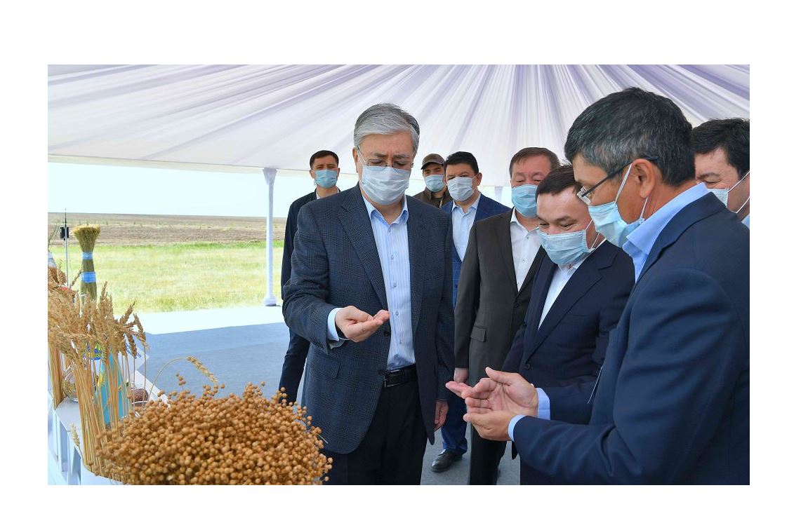 Мемлекет басшысы көктемгі егіс жұмыстарымен танысты