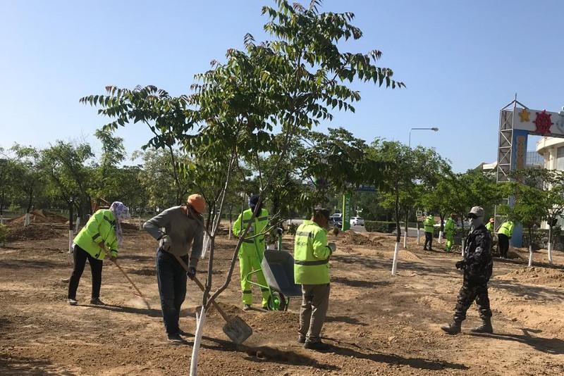 Ақтауда абаттандыру жұмыстары жүргізілуде