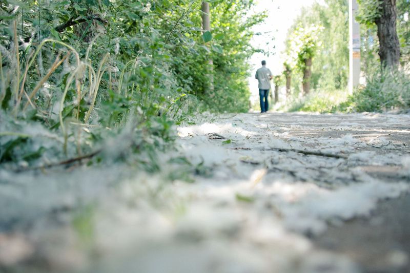 Мамық-маусым