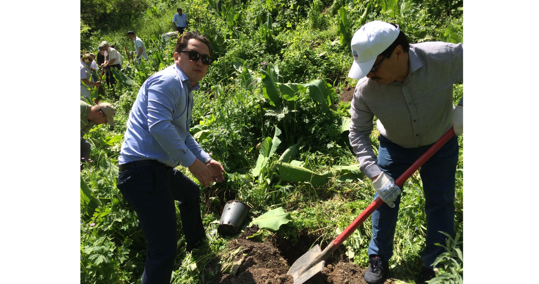 Іле-Алатау ұлттық паркінде ең көне алма түрі бар