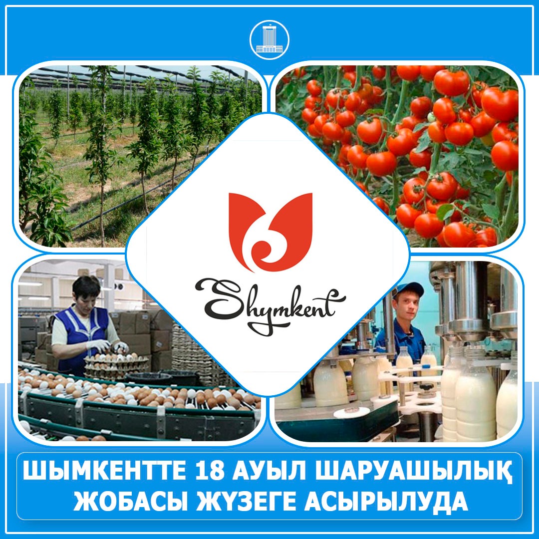 Шымкентте 18 ауыл шаруашылық жобасы жүзеге асырылуда
