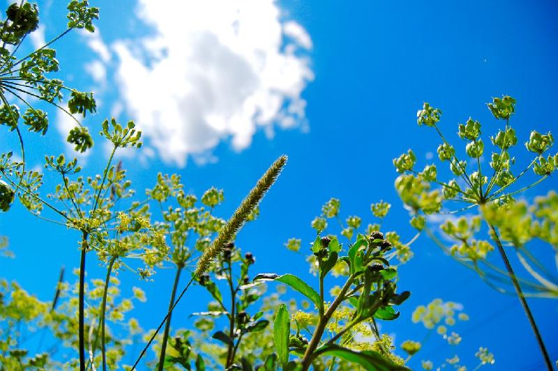 Бүгін еліміздің басым бөлігінде құбылмалы ауа райы сақталады