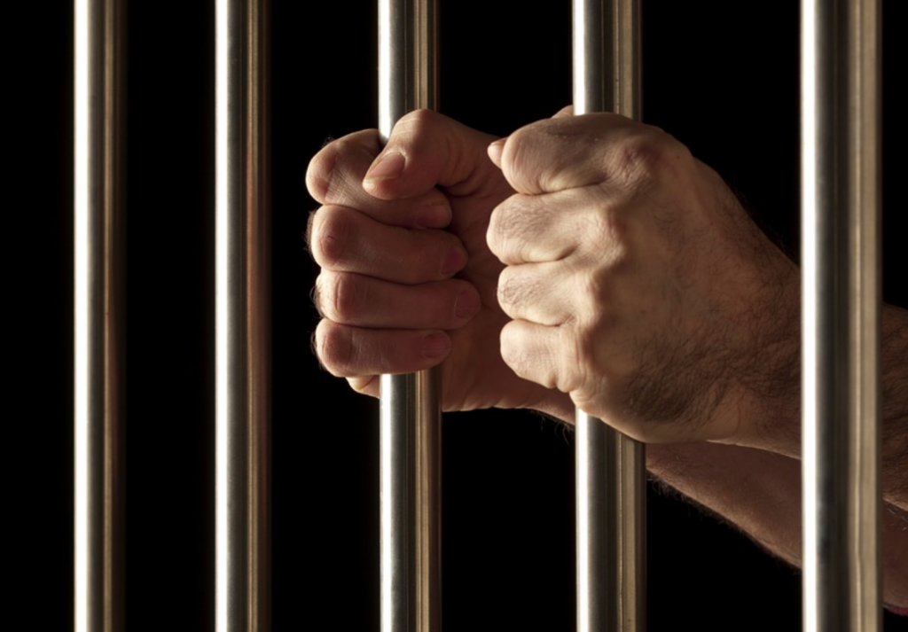 Алматы облысында қылмыс деңгейі төмендеді