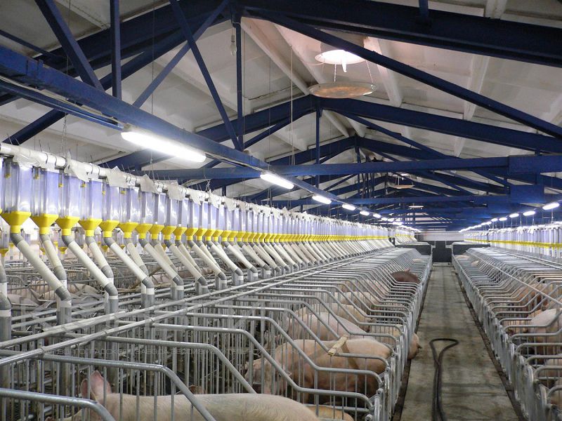 Талпақтанауға наразылық күшейіп тұр