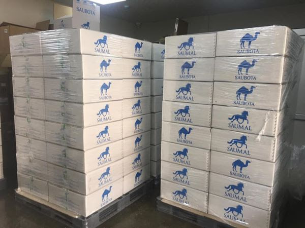 Қытайға түйенің құрғақ сүтін жөнелтті